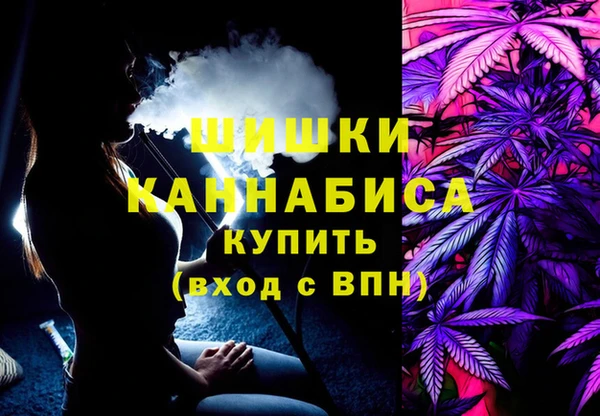 стафф Бронницы