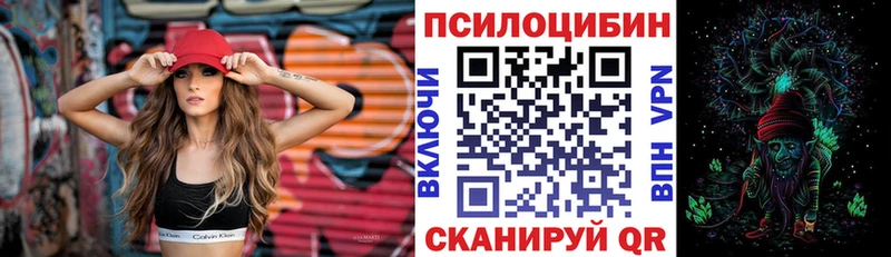 Псилоцибиновые грибы Cubensis  Вельск 